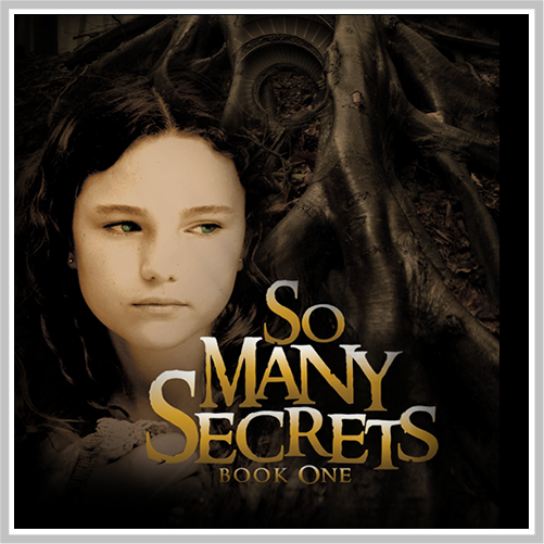 So Many Secrets Series